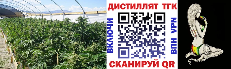 где купить   Южа  Дистиллят ТГК гашишное масло 