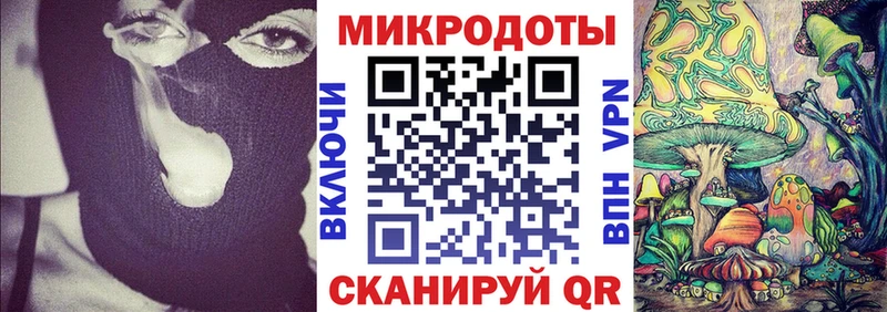 hydra ССЫЛКА  Южа  Псилоцибиновые грибы MAGIC MUSHROOMS  как найти  
